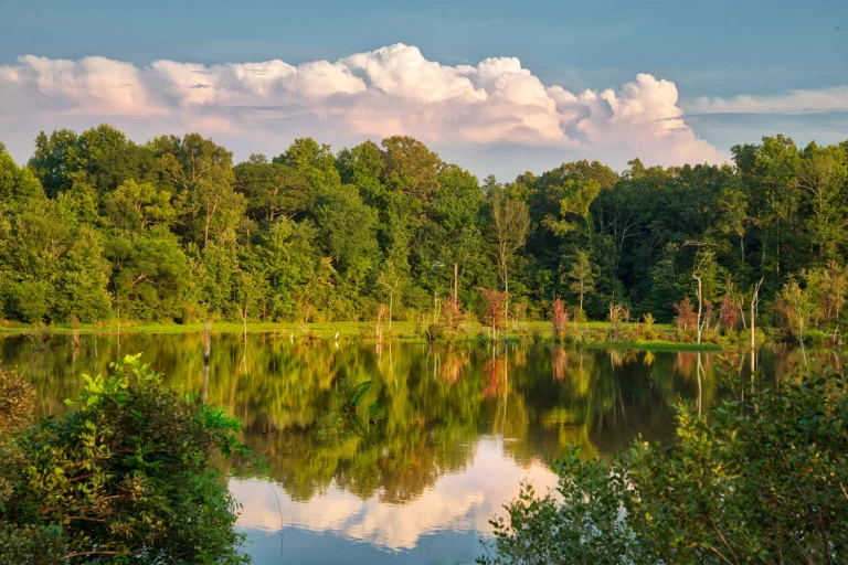 Destinos turísticos de interior seguros Imedes