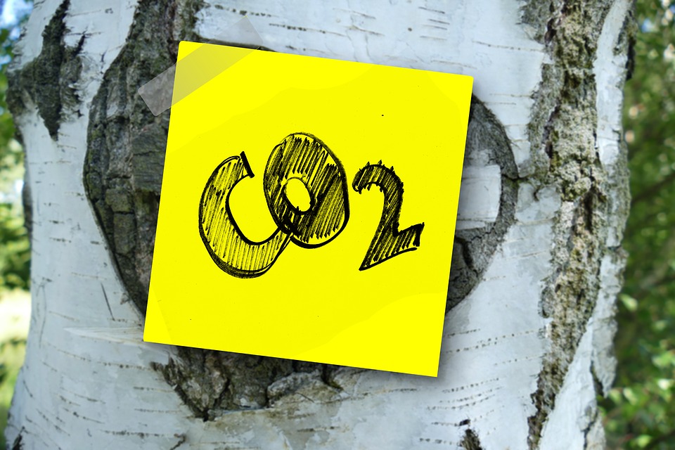 Lee más sobre el artículo Gestionamos las ayudas a entidades locales para reducir CO2