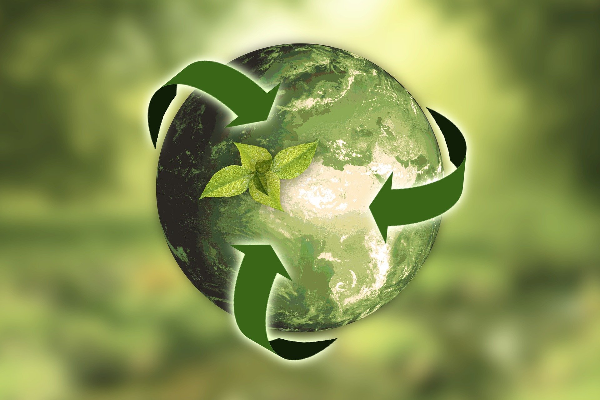 Lee más sobre el artículo La Educación Ambiental, clave ante la nueva Ley de Residuos